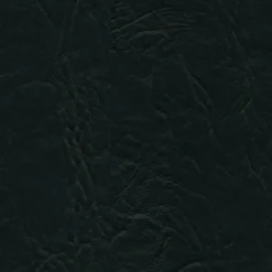 Vision Rogue II RU810 Black Fabric> Solid, Texture & Faux