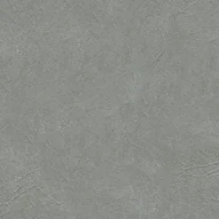 Vision Rogue II RU900 Flint Fabric> Solid, Texture & Faux