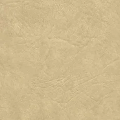 Vision Rogue II RU870 Off White Fabric> Solid, Texture & Faux