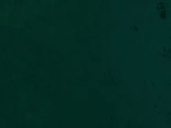 Covington Saxony 207 Evergreen Fabric> Trim