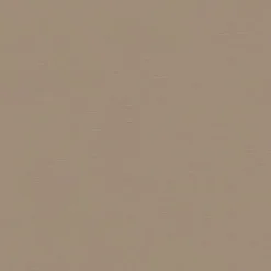 Vision Sealskin 81 Bisque Fabric> Solid, Texture & Faux