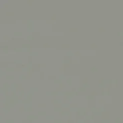 Vision Sealskin 99 Dove Fabric> Solid, Texture & Faux