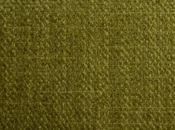 Crypton Sense Fern Fabric