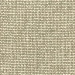 Regal Share Wheat Fabric> Solid, Texture & Faux