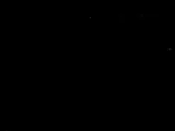 Covington Spinnaker Jet Fabric Hot