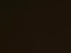 Covington Spinnaker Mahogany Fabric Sale