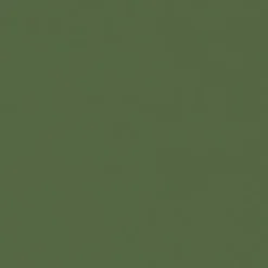 Vision Spirit Milm US 529 Olive Green Fabric Best