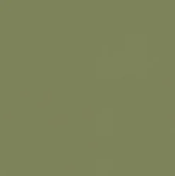 Vision Spirit Milm US 526 Sage Fabric> Solid, Texture & Faux