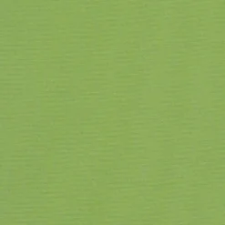 Vision Sunbr Furn Solid Canvas 54011 Gingko Fabric Sale