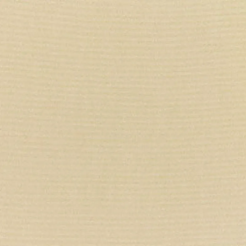 Vision Sunbr Furn Solid Canvas 5422 Antique Beige Fabric> Solid, Texture & Faux