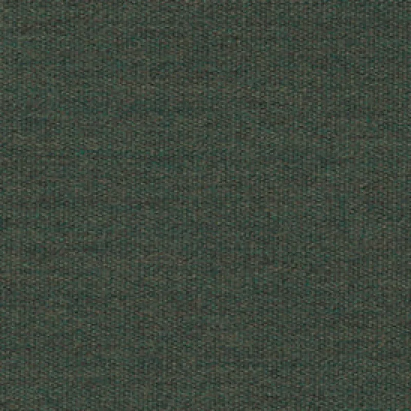 Vision Sunbr Furn Solid Canvas 5487 Fern Fabric> Solid, Texture & Faux