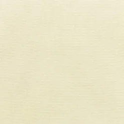 Vision Sunbr Furn Solid Canvas 5453 Canvas Fabric