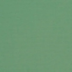 Vision Sunbr 46" 4688 Basil Fabric New