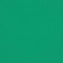 Vision Sunbr 46" 4600 Erin Green Fabric Best