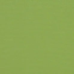 Vision Sunbr 46" 4685 Gingko Fabric Sale