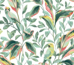 York TC2653 White Coral Tropical Love Birds Wallpaper> Architectural