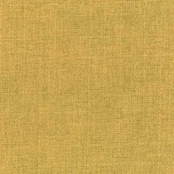 Regal Turbo Amber Fabric Hot