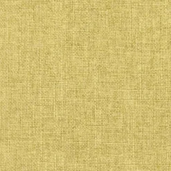 Regal Turbo Citron Fabric> Solid, Texture & Faux