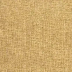 Regal Turbo Saffron Fabric Best