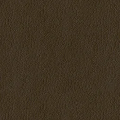 Vision Turner 802 Tan Fabric> Solid, Texture & Faux