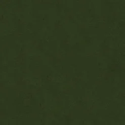 Vision Urban 208 Basil Fabric New