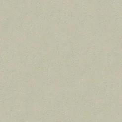 Vision Urban 602 Ivory Fabric> Trim