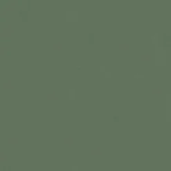 Vision Urban 2006 Lima Bean Fabric> Trim