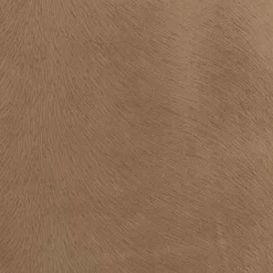 Regal Venture Camel Fabric> Solid, Texture & Faux