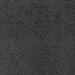 Regal Venture Charcoal Fabric> Solid, Texture & Faux