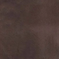 Regal Venture Coal Fabric Best