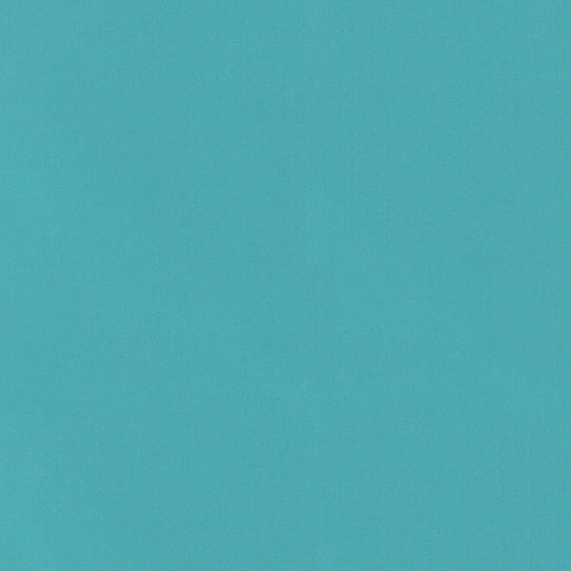 PKaufmann_inc/PKL Vernon Reef P/K Lifestyles Fabric> Solid, Texture & Faux