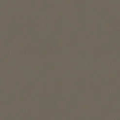 Vision Whisper Vinyl 2138 Elephant Fabric> Solid, Texture & Faux