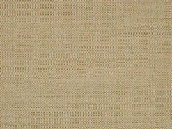 Covington Woodlawn Seashell Fabric> Trim